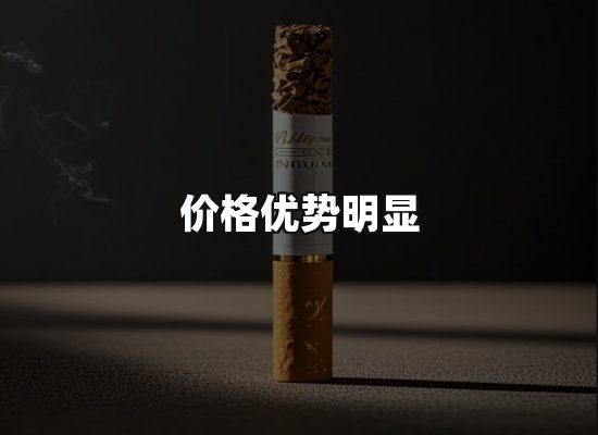 专业优势